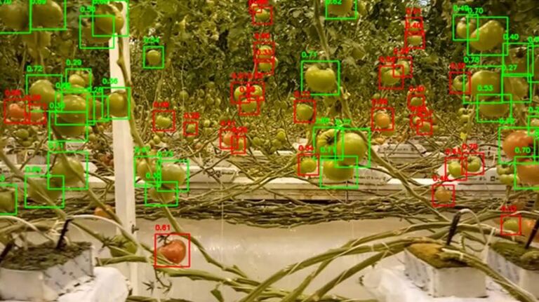 Примеры работы цифрового агронома