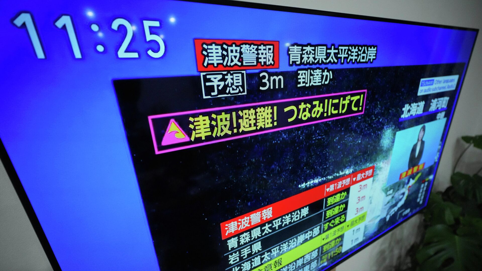 Предупреждение о цунами на экране телевизора в Иокогаме, Япония. - РИА Новости, 1920, 08.12.2025
