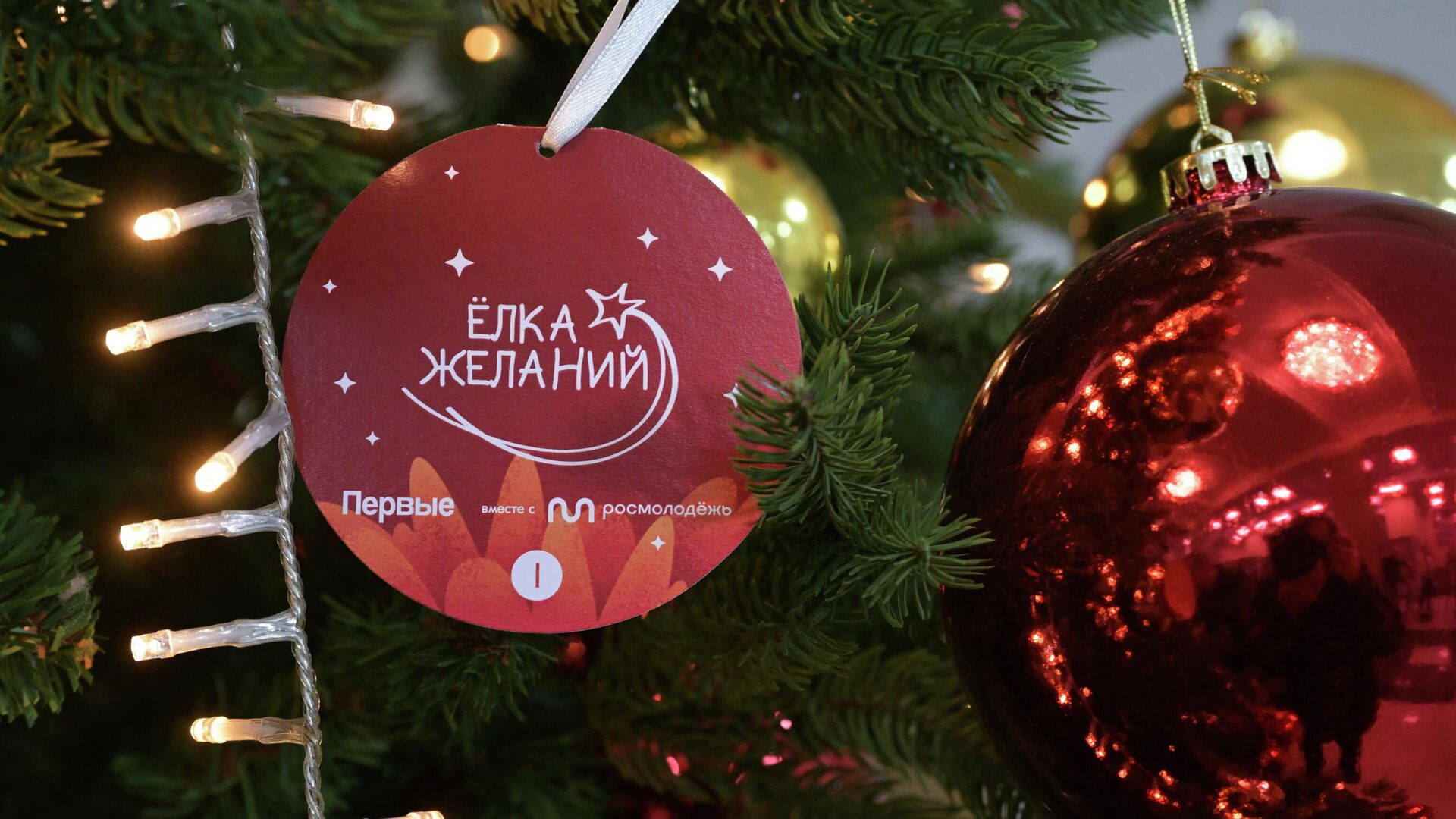 Всероссийская новогодняя благотворительная акция Ëлка желаний - РИА Новости, 1920, 17.12.2025