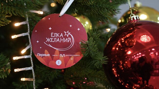 Всероссийская новогодняя благотворительная акция Ëлка желаний