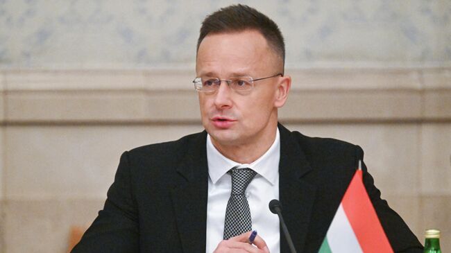 Министр иностранных дел Венгрии Петер Сийярто на 16-м заседании Российско-Венгерской межправительственной комиссии по экономическому сотрудничеству