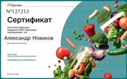 Диплом Александра Новикова Диплом Александра Новикова
