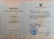 Диплом Александра Новикова Диплом Александра Новикова