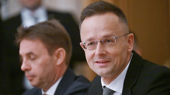 Министр иностранных дел Венгрии Петер Сийярто на 16-ом заседании Российско-Венгерской межправительственной комиссии по экономическому сотрудничеству