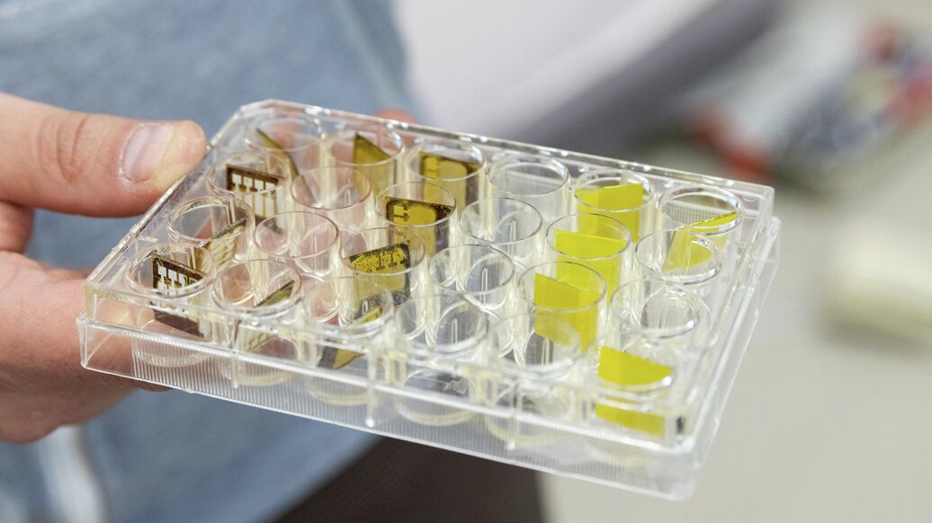 В России нашли ключ к созданию долговечных датчиков излучений