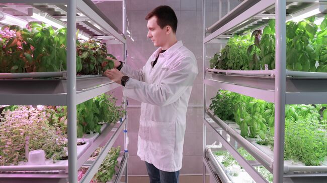 Визуальный мониторинг, определение скорости роста и урожайности