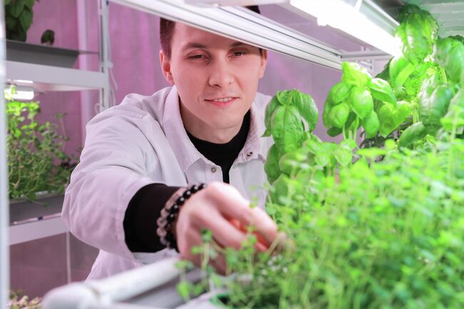 Визуальный мониторинг, определение скорости роста и урожайности Визуальный мониторинг, определение скорости роста и урожайности