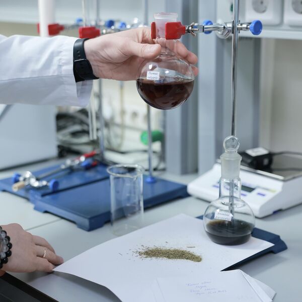 Подготовка растительного материала к проведению экстракции Подготовка растительного материала к проведению экстракции