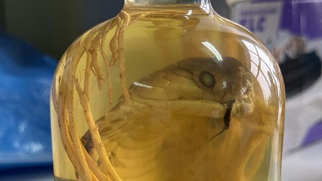 Змеиное вино обнаружили алтайские таможенники в багаже пассажирки из Вьетнама