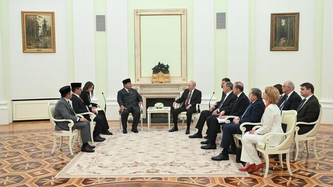 Президент РФ Владимир Путин и президент Индонезии Прабово Субианто во время встречи в Кремле