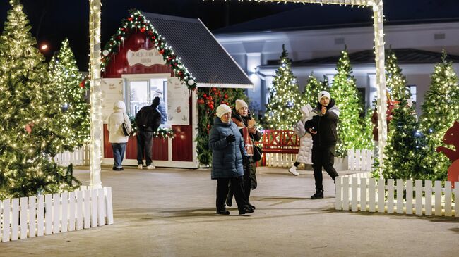 Новогодняя Рязань Новогодняя Рязань