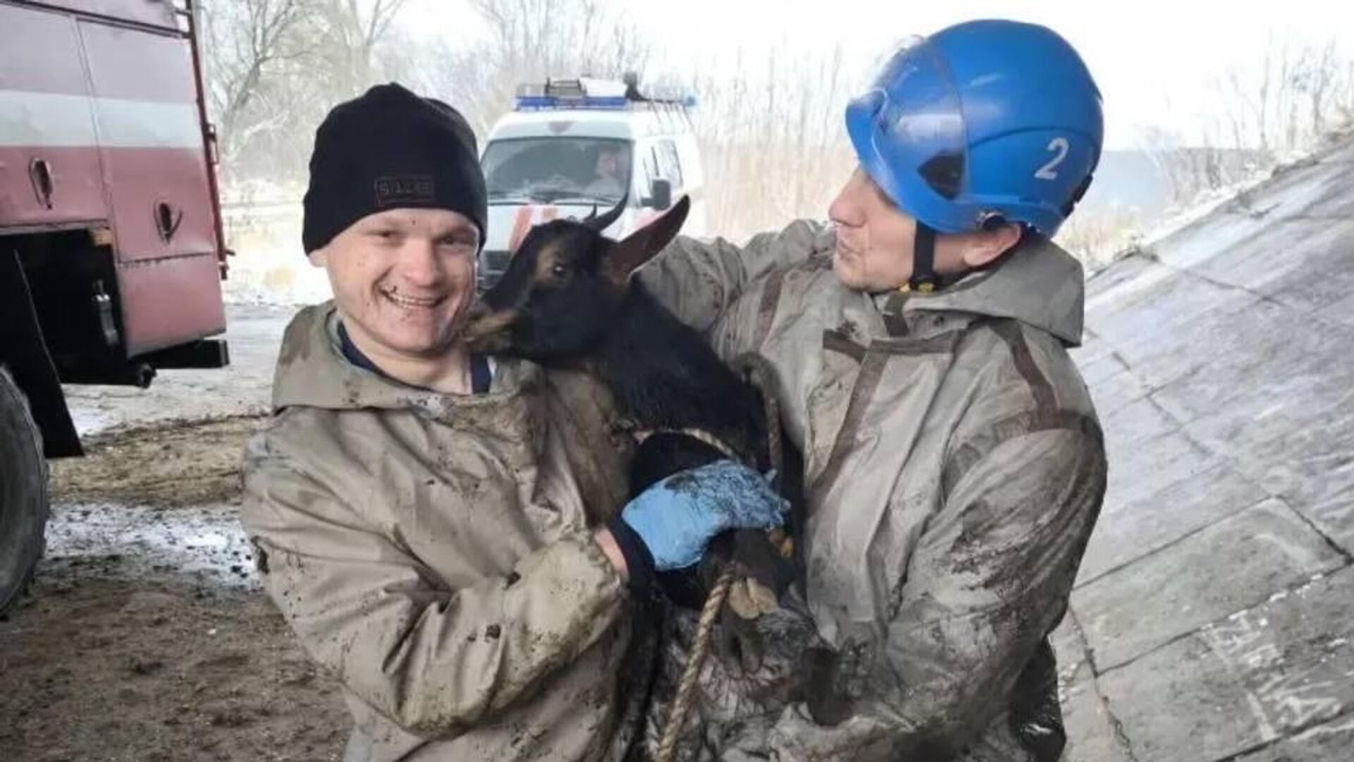 Сотрудники МЧС спасли козу, провалившуюся в водосточную яму под мостом в Твери - РИА Новости, 1920, 11.12.2025