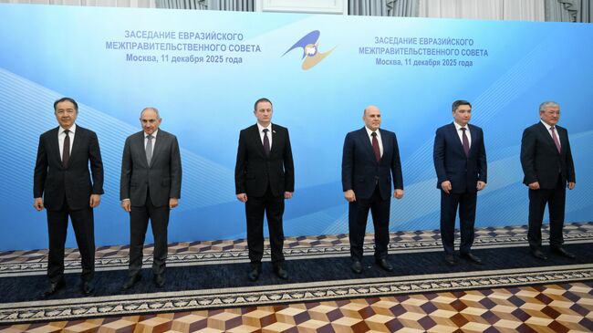 Заседание Евразийского межправительственного совета