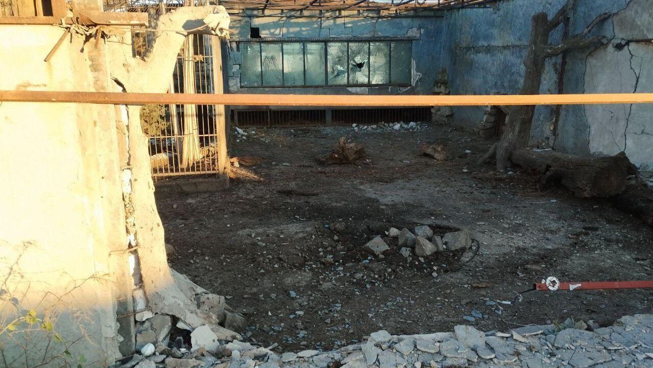 ВСУ с помощью дронов атаковали зоопарк в Васильевском районе Запорожской области - РИА Новости, 1920, 13.12.2025