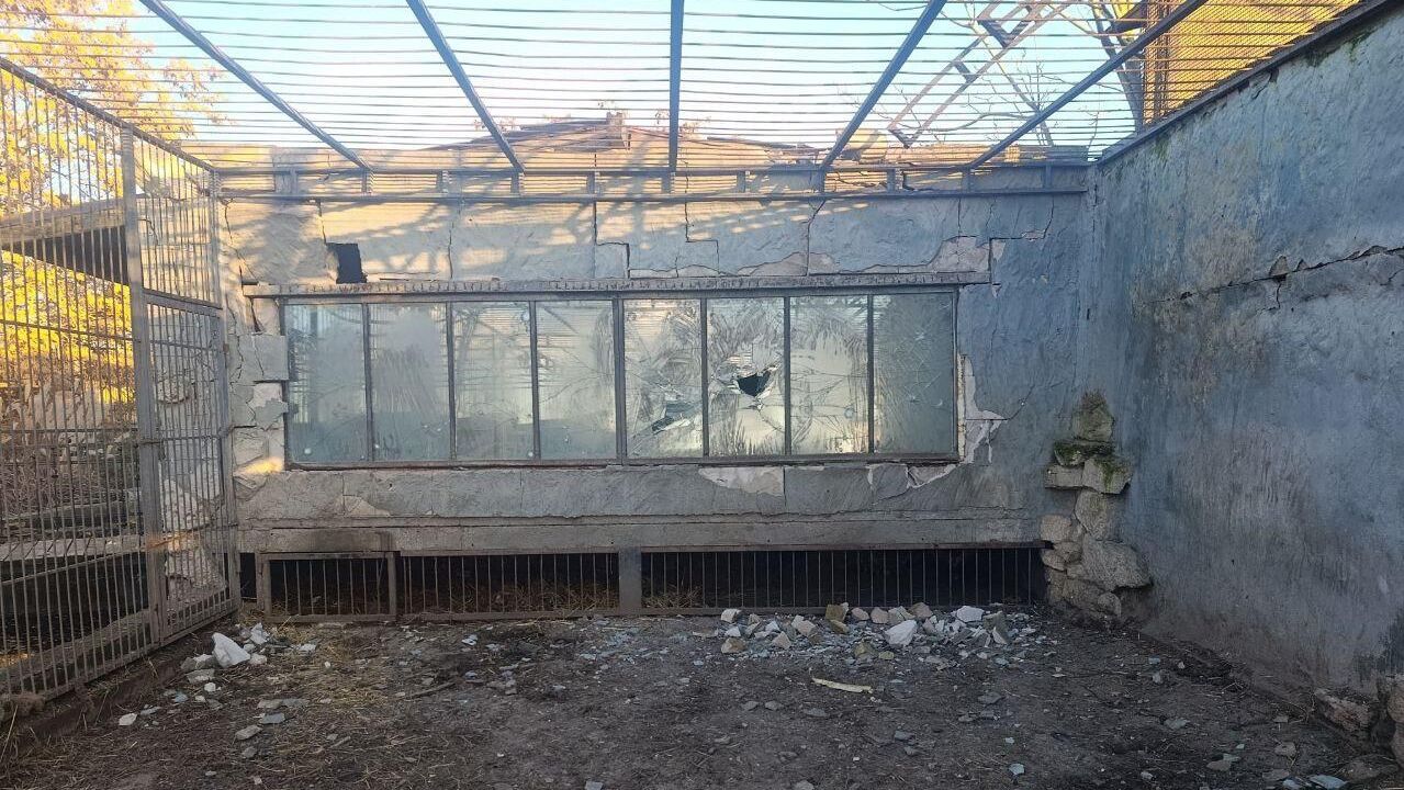 ВСУ с помощью дронов атаковали зоопарк в Васильевском районе Запорожской области ВСУ с помощью дронов атаковали зоопарк в Васильевском районе Запорожской области - РИА Новости, 1920, 14.12.2025