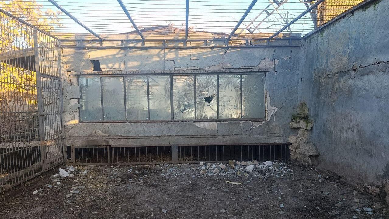  ВСУ с помощью дронов атаковали зоопарк в Васильевском районе Запорожской области - РИА Новости, 1920, 13.12.2025