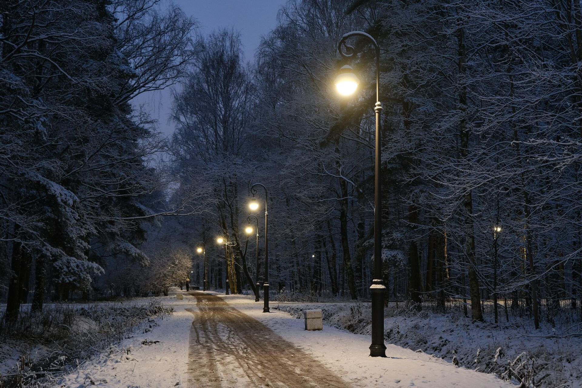 Реконструкция освещения в парке Александрино Реконструкция освещения в парке Александрино - РИА Новости, 1920, 18.12.2025
