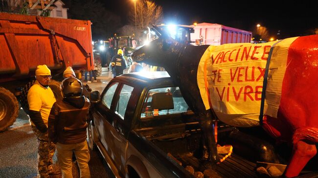 Протестующие против забоя скота, заразившегося нодулярным дерматитом во Франции