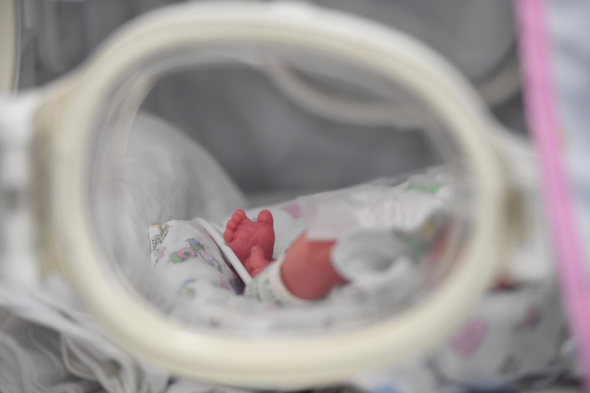 Новорожденный ребенок в реанимационном боксе в палате роддома  - РИА Новости, 1920, 18.12.2025