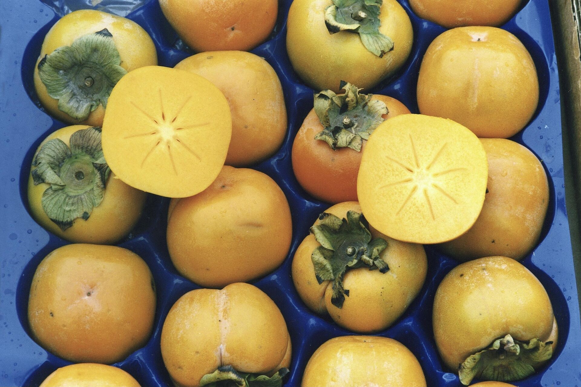 Хурма шарон - РИА Новости, 1920, 20.12.2025