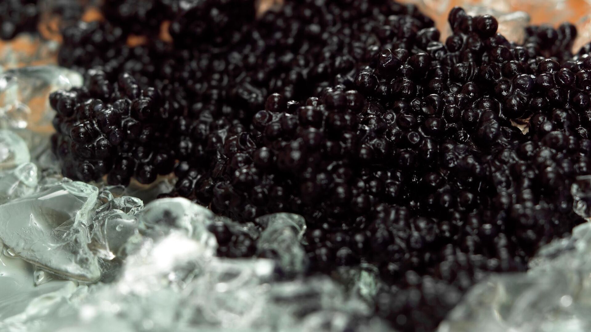 Черная икра - РИА Новости, 1920, 21.12.2025