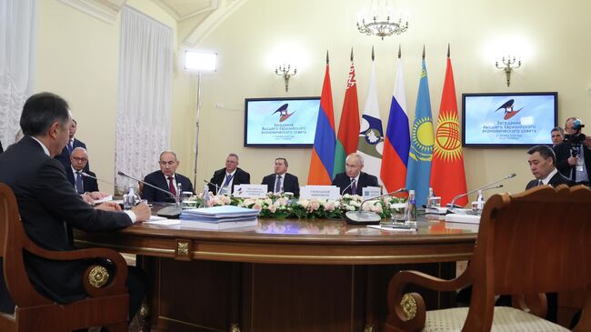 Президент РФ Владимир Путин на заседании Высшего Евразийского экономического совета в Санкт-Петербурге