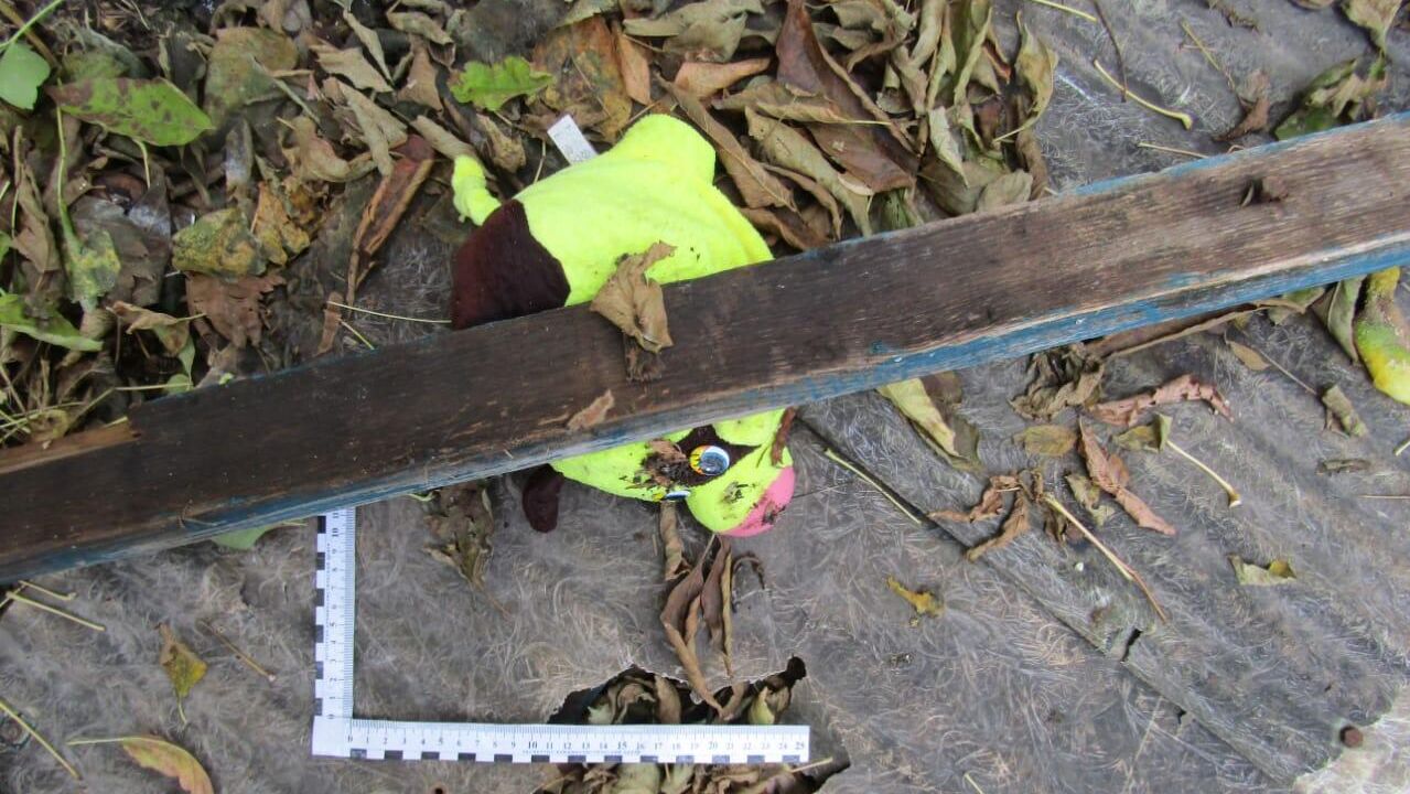 На месте убийства годовалого ребенка во Владимирской области - РИА Новости, 1920, 22.12.2025