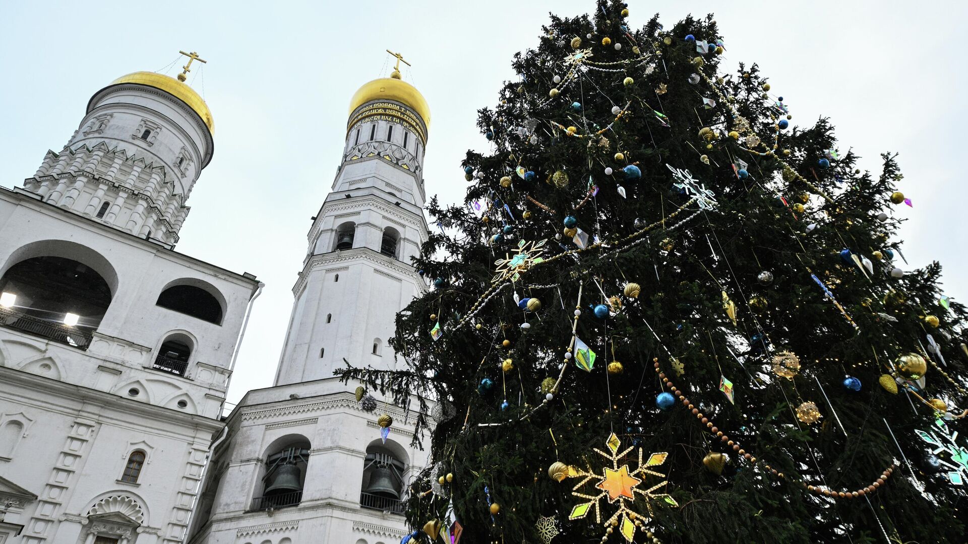 Главная новогодняя елка страны на Соборной площади Московского Кремля. 23 декабря 2025 - РИА Новости, 1920, 23.12.2025