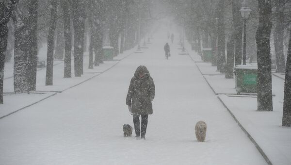 Снегопад в Москве, архивное фото