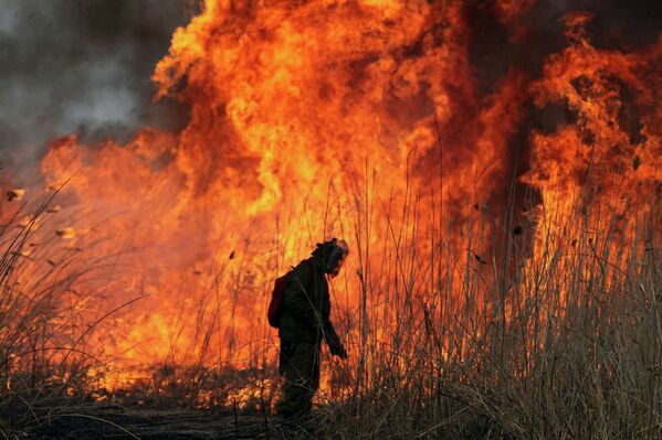 Тушение тросникового пожара, угрожавшего Астраханскому заповеднику