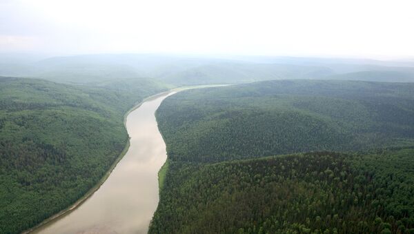 Вид на реку и леса в Енисейском районе Красноярского края. Архивное фото