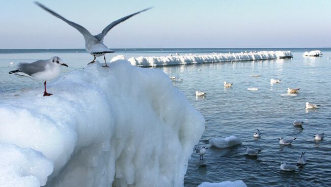 Балтийское море в Калининградской области. Архивное фото