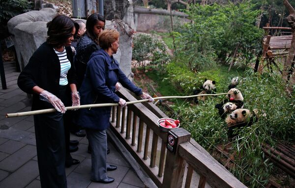 Первая леди США Мишель Обама и ее мать кормят яблоками гигантских панд вовремя визита в Китай
