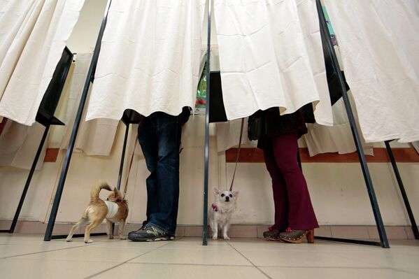Граждане Франции со своими собаками на избирательном участке во время голосования