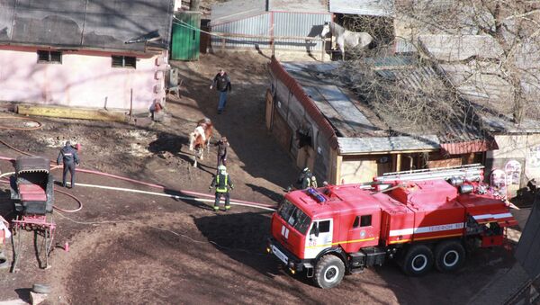 Пожар в районе Ново-Переделкино. Фото с места события