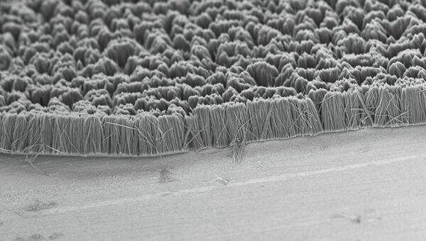 Микрофотография поверхности термополимера