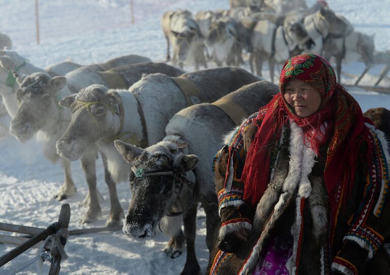 Праздник День оленевода в Салехарде