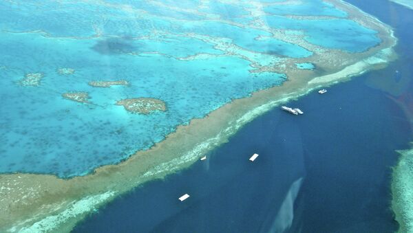 Вид Большого Барьерного рифа. Архивное фото