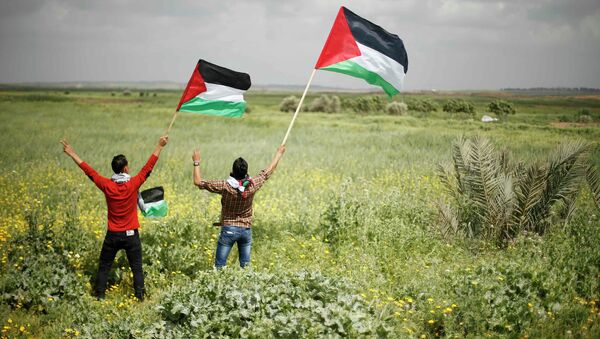 Протестующие с палестинскими флагами возле израильской границы. 30 марта 2014