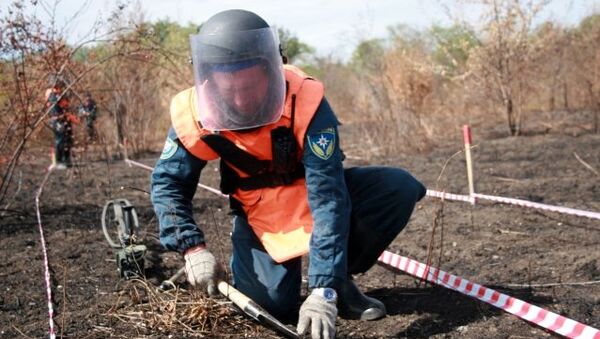 Очистка территории от взрывоопасных предметов сотрудниками МЧС РФ в Сербии. Архивное фото