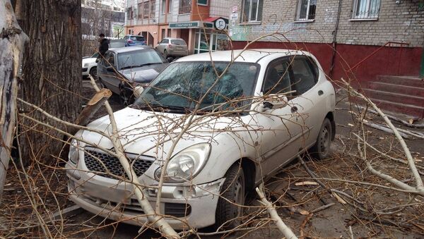 Сильный ветер повалил дерево на 3 машины во дворе Томска, событийное фото