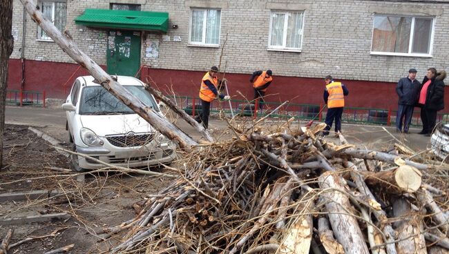 Сильный ветер повалил дерево в Томске, архивное фото