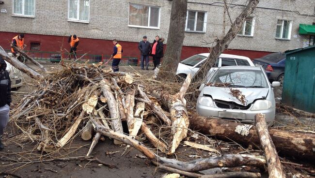 Сильный ветер. Архивное фото