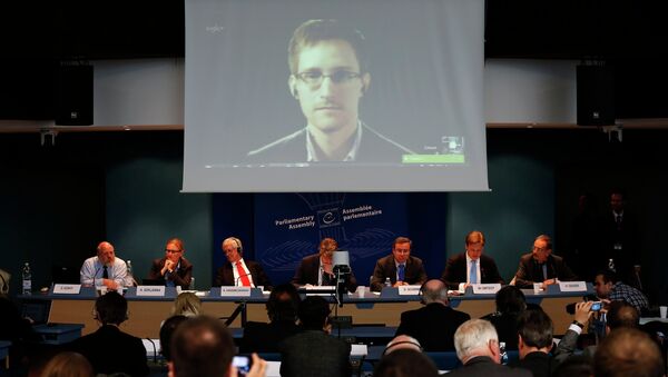Эдвард Сноуден общается с помощью видео-конференции во время слушаний в Совете Европы в Страсбурге. 8 апреля 2014