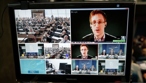 Эдвард Сноуден общается с помощью видео-конференции во время слушаний в Совете Европы в Страсбурге. 8 апреля 2014.  Архивное фото