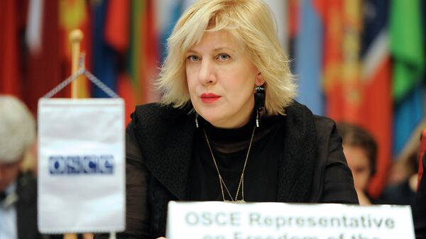 Представитель Организации по безопасности и сотрудничеству в Европе (ОБСЕ) по вопросам свободы СМИ Дунья Миятович. Архивное фото