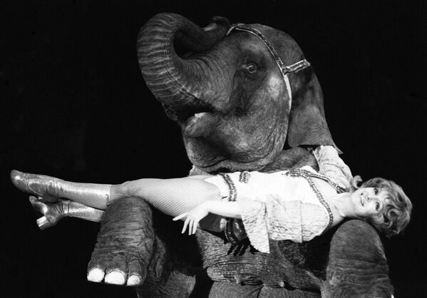 Выступление дрессировщицы Долорес Запашной со слоном