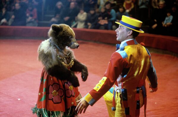 Сцена из цирковой музыкальной новогодней сказки Юрия Цейтлина на музыку Геннадия Гладкова Тайна медвежьего ущелья