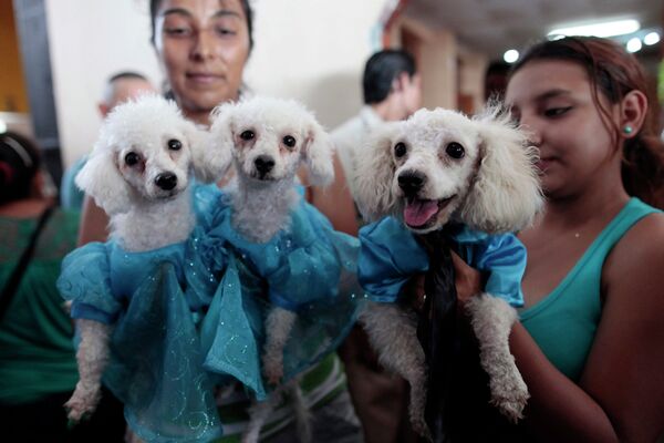 Хозяева держат своих собак во время молитвы в церкви Магдалены в Никарагуа