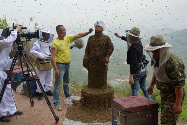 Китайский пчеловод во время попытки покрыть тело пчелами